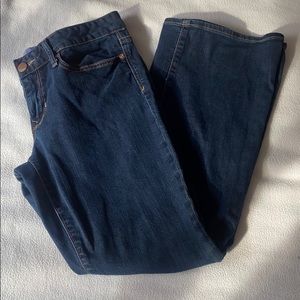 EUC GAP 1969 curvy petite jeans